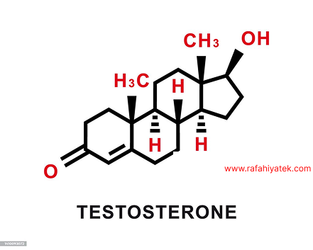 testosterone